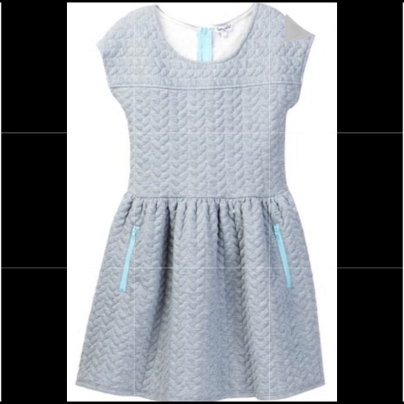 Splendid Other - NWOT Splended sz 12-14 grey quilted dress w zipper